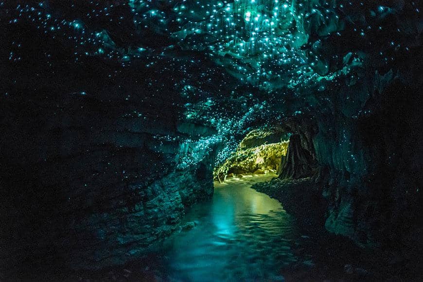 5 Fakta Gua Waitomo, Gua yang Langit-langitnya Dipenuhi Makhluk Hidup