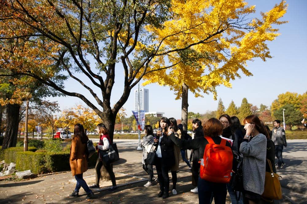 Yeungnam University