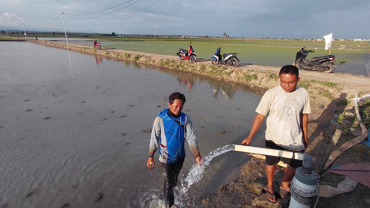 Petani di Kelurahan Duampanua, Kecamatan Baranti, Kabupaten Sidenreng Rappang, Sulawesi Selatan, memanfaatakan pompa listrik untuk mengairi 