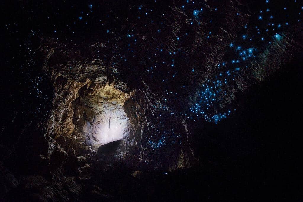 Gua Waitomo