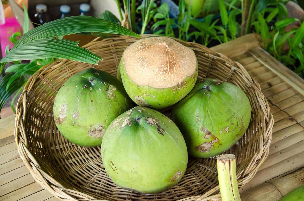 ilustrasi bahan es kelapa kopyor jeruk