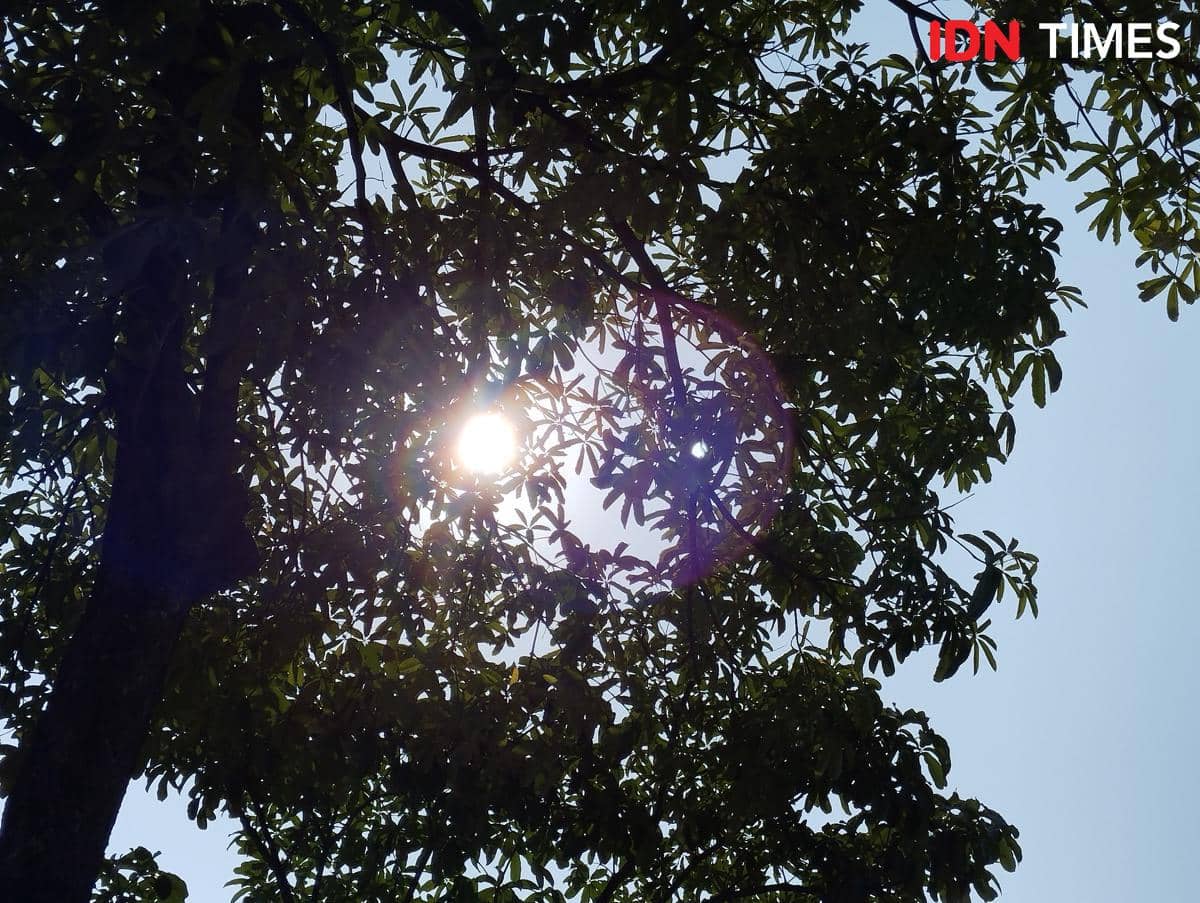 Cuaca panas di Kota Semarang. (IDN Times/Dhana Kencana)