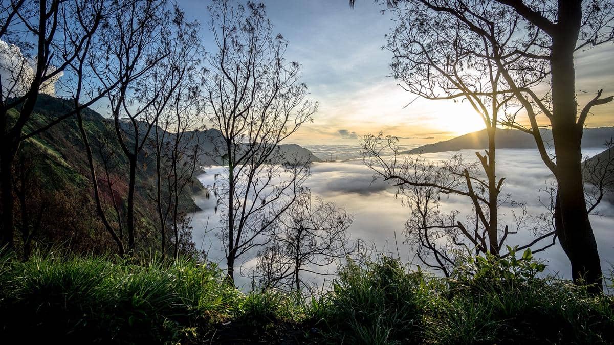 ilustrasi sunrise