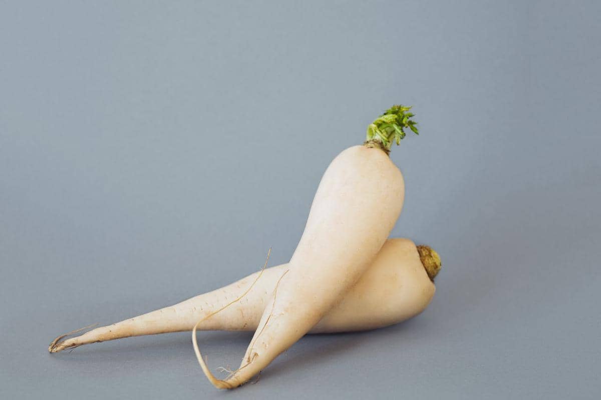 ilustrasi daikon 