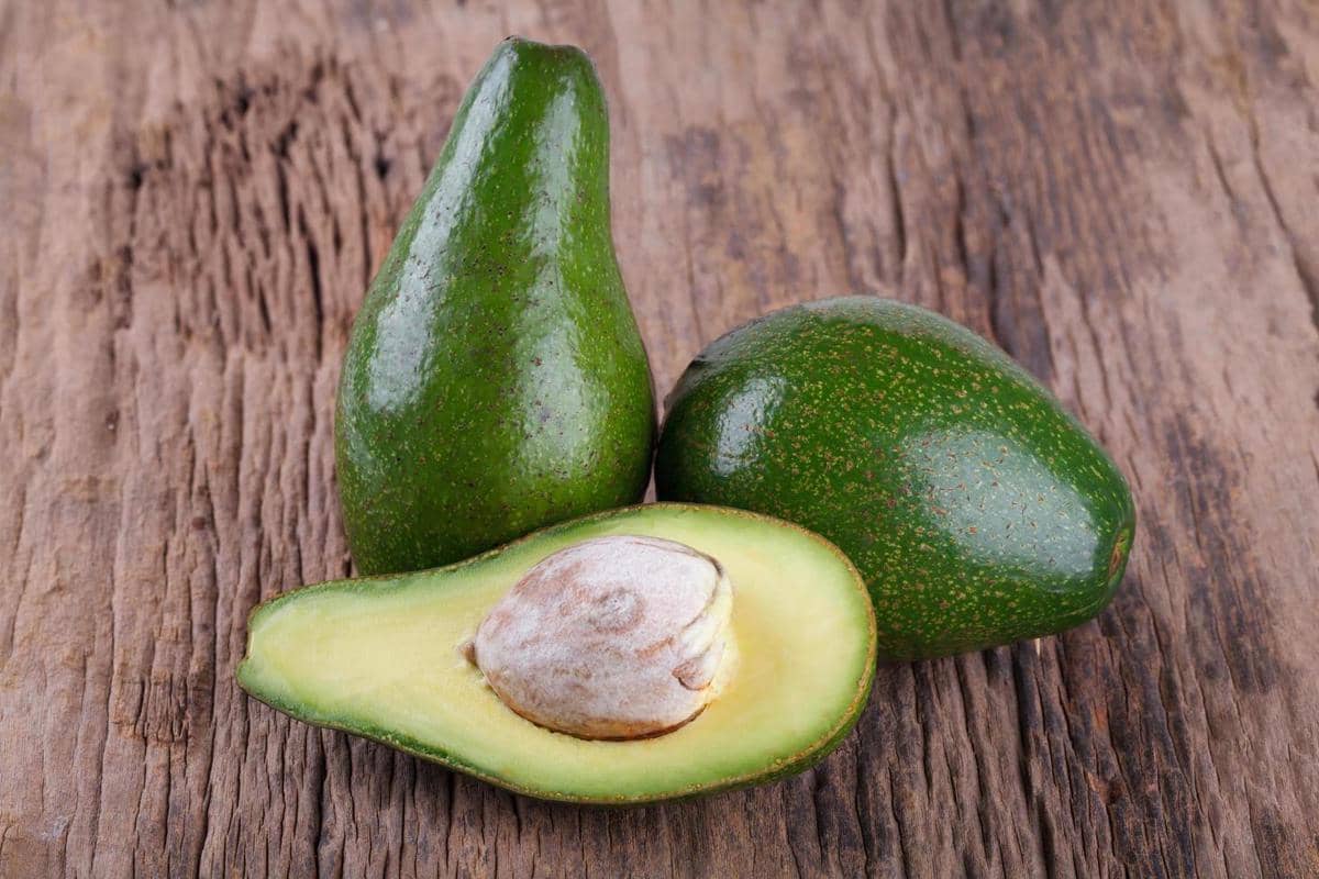 ilustrasi bahan avocado milk cheese
