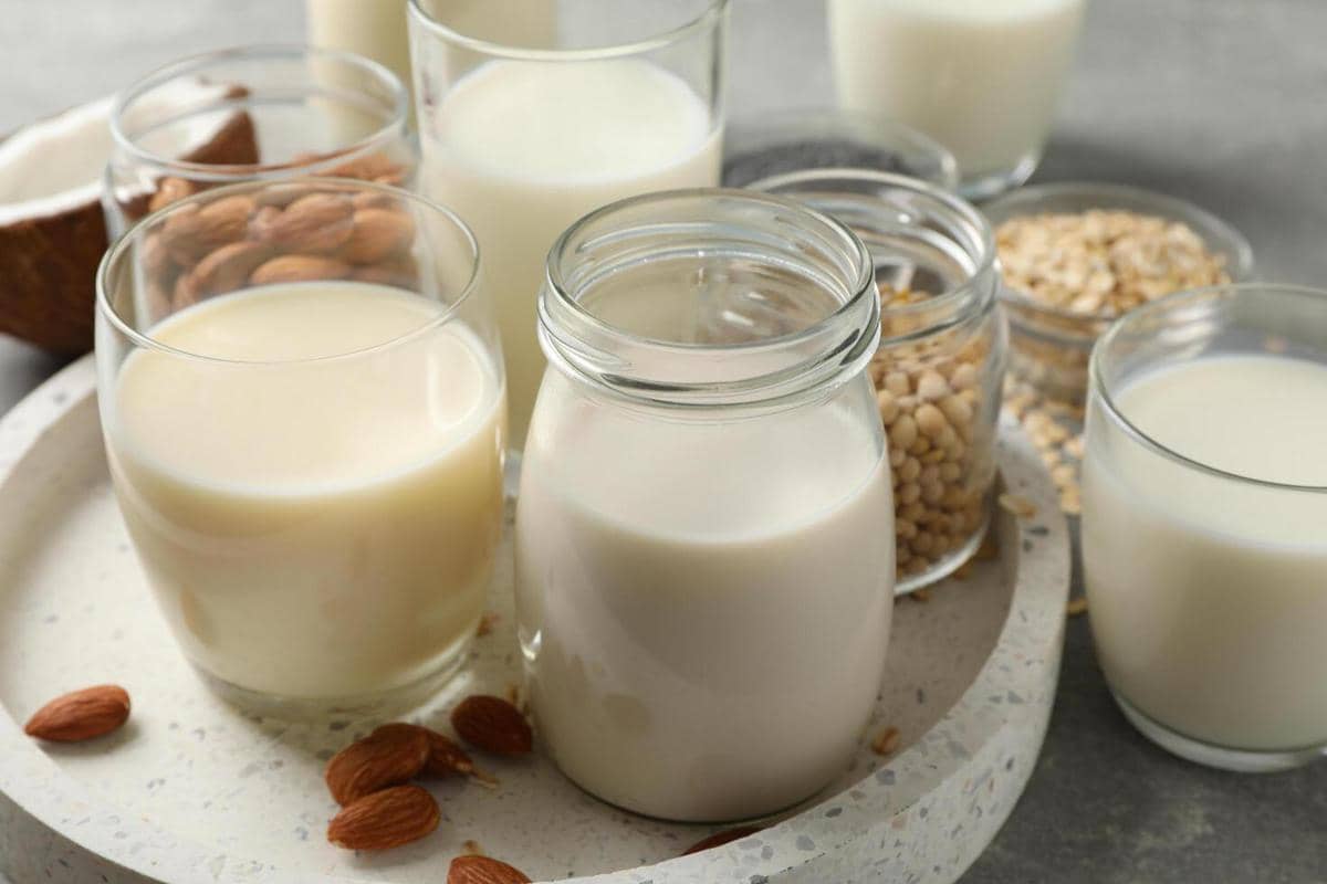 ilustrasi bahan thai tea oatmilk