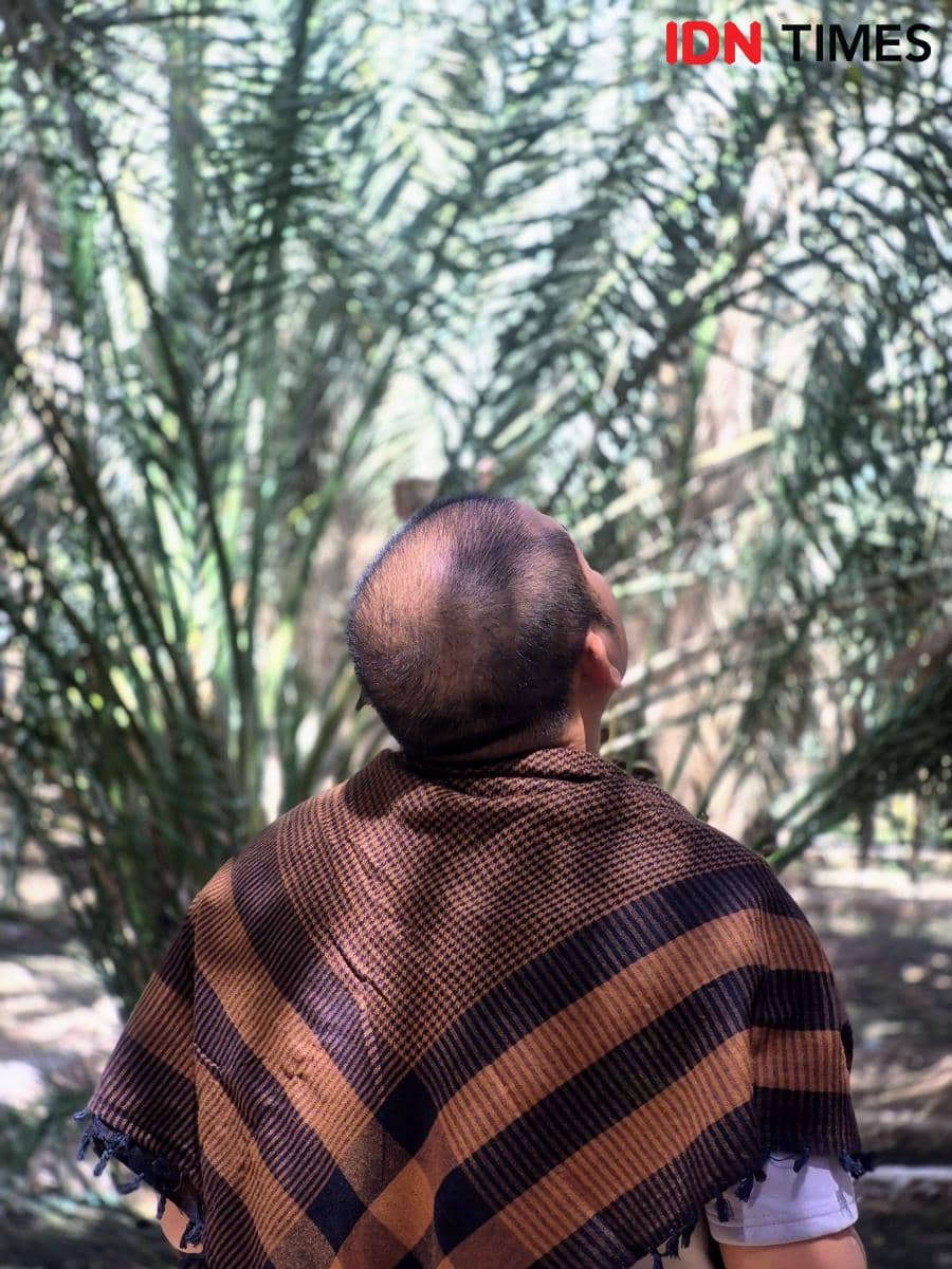 Seorang pria berbalut syal cokelat hitam sedang memandang ke atas di tengah kebun kurma yang rindang dan teduh.