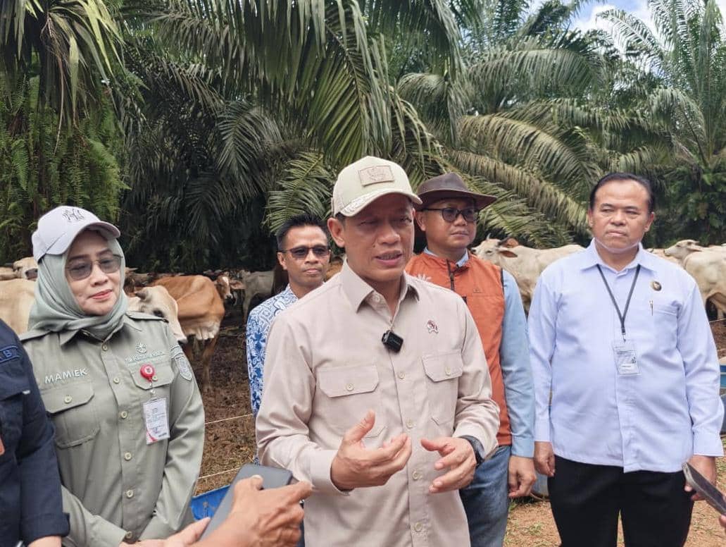 Wamenko Pangan Sebut Integrasi Sawit dan Sapi Cocok untuk Breeding