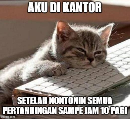 Seekor kucing tampak mengantuk dengan kepala bersandar di atas keyboard komputer, menggambarkan kelelahan setelah begadang menonton Piala Dunia.
