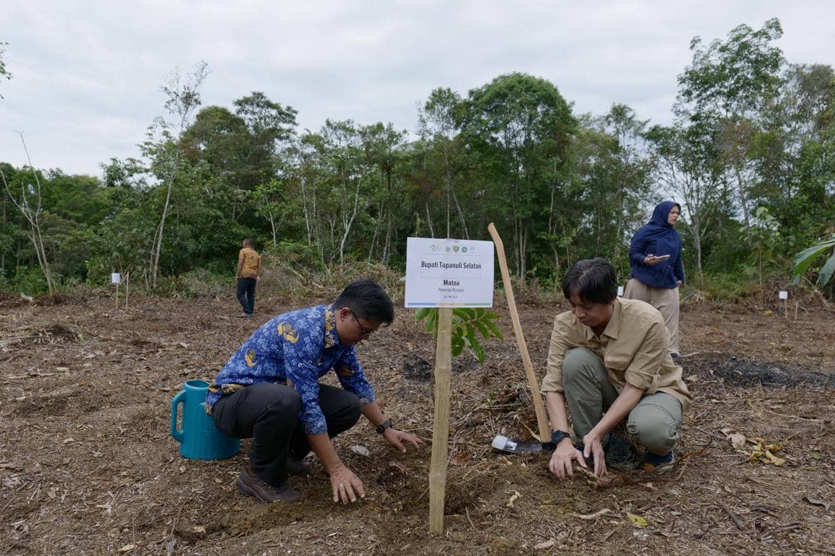 Habitat Orangutan Tapanuli Terancam, Program Restorasi 159 Ha Digeber