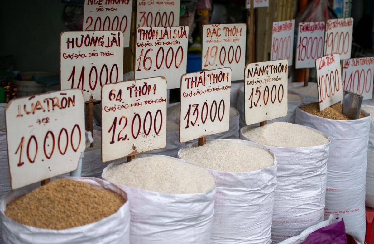 5 Alasan Harga Beras Tidak Hanya Dipengaruhi Hasil Panen