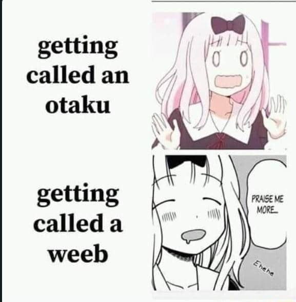 meme anime tentang otaku