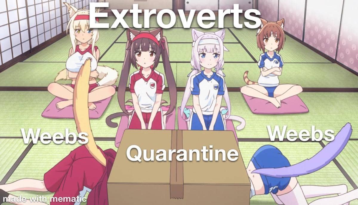 meme anime tentang kotak