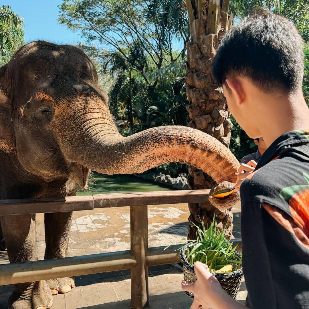 Keluarga Fairuz A Rafiq liburan di Bali Zoo