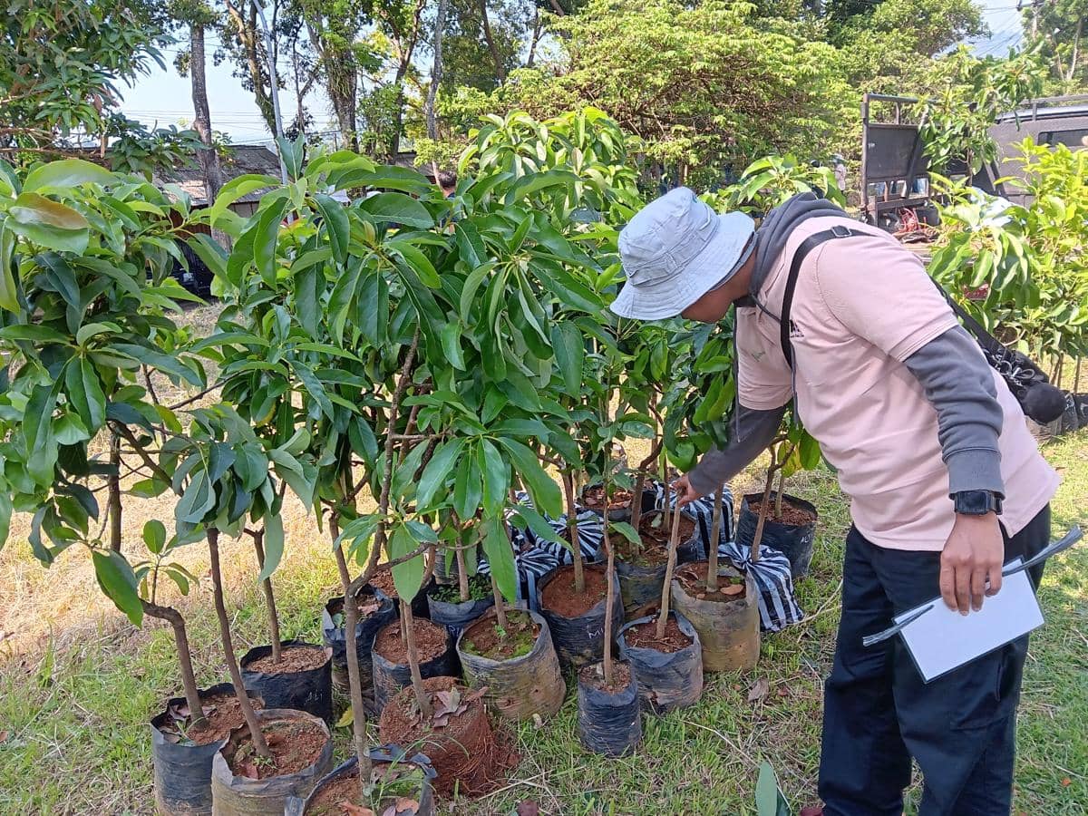 AE Indonesia, tanam pohon, penghijauan