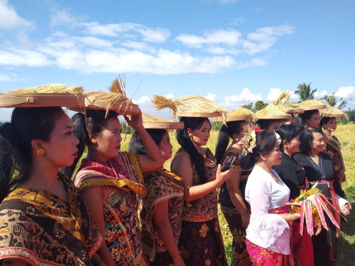 Festival Jatiluwih 2026