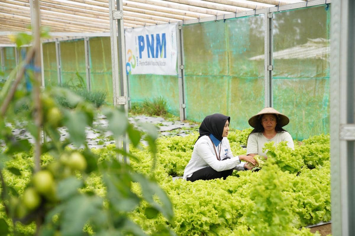 PNM Borong 4 Penghargaan Indonesia Sustainability Award 2026
