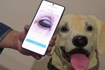 AI Samsung Bisa Bantu Pantau Kesehatan Anabul dengan Foto