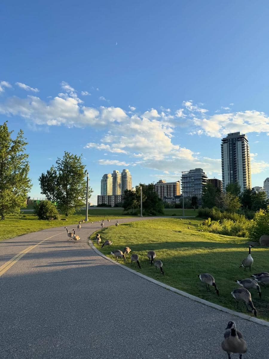 Liburan keluarga Tengku Firmansyah ke Calgary