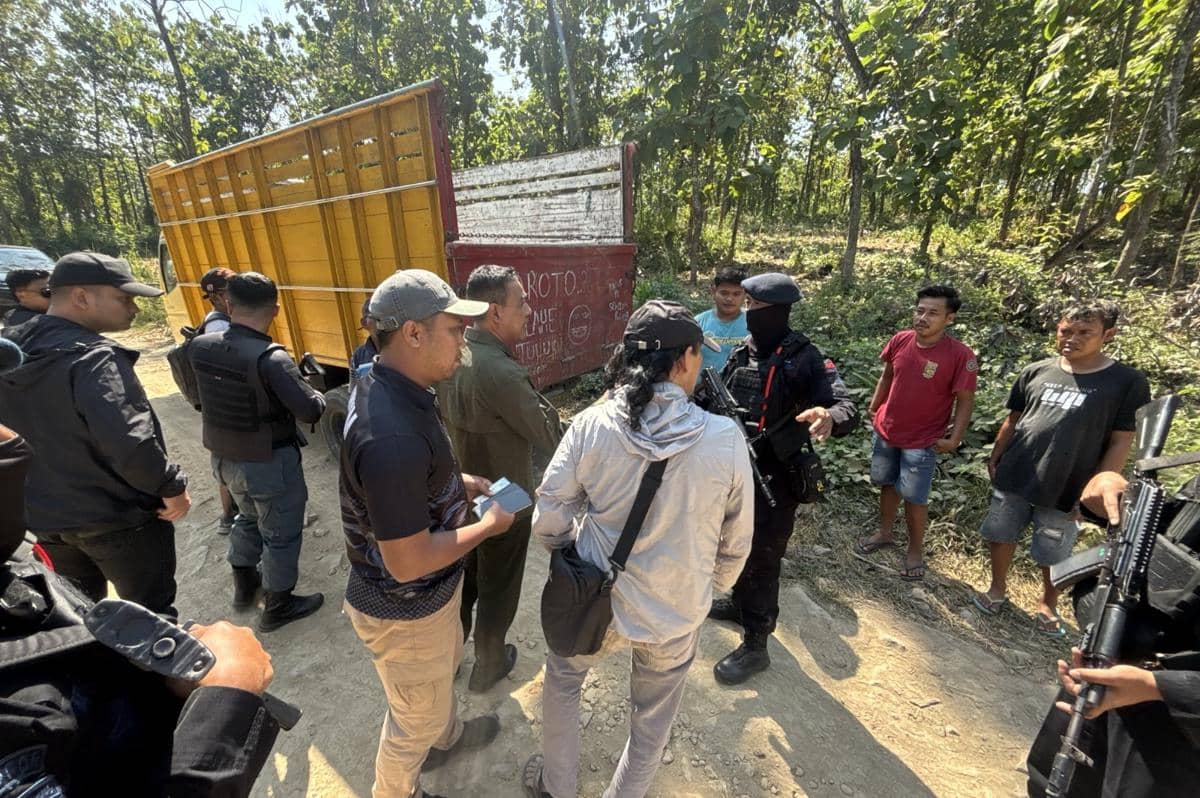 Kemenhut RI menetapkan 4 orang sebagai tersangka kasus pembukaan lahan ilegal di Kawasan Hutan Diklathut UGM di Kecamatan Pitu, Kabupaten Ngawi. IDN Times/Istimewa.