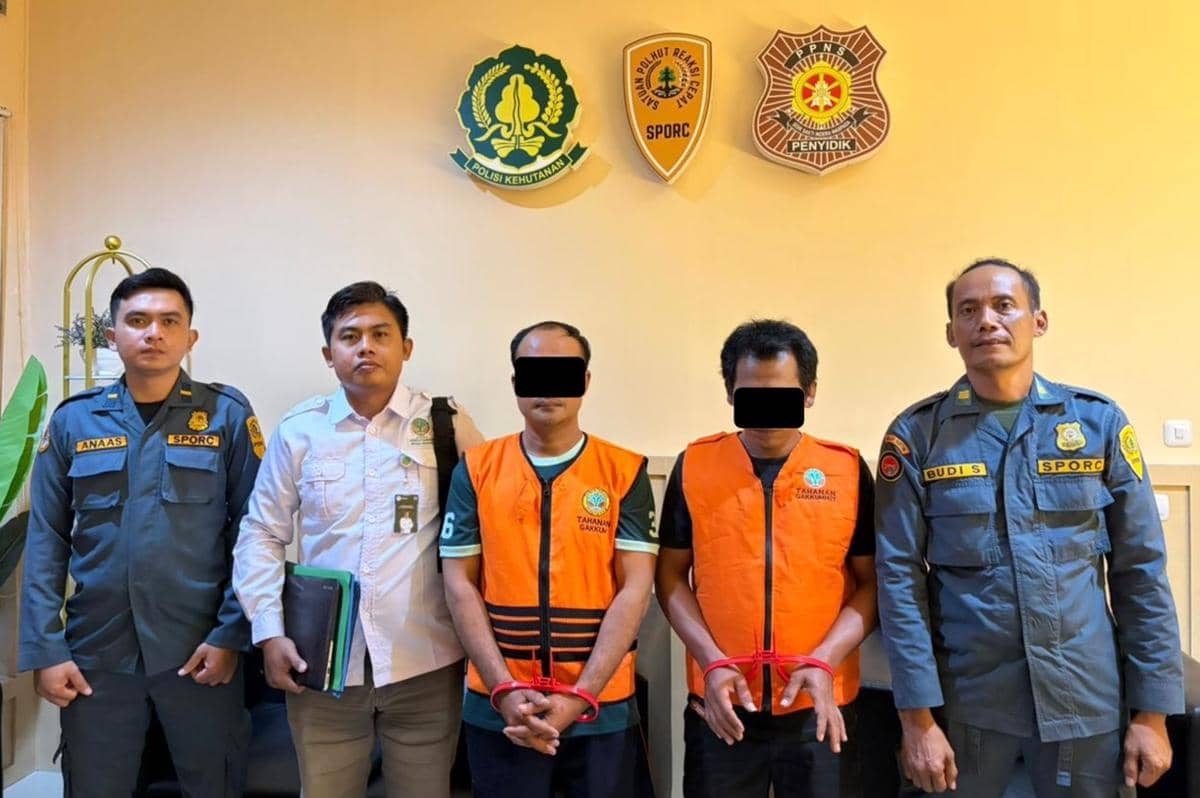 Kemenhut RI menetapkan 4 orang sebagai tersangka kasus pembukaan lahan ilegal di Kawasan Hutan Diklathut UGM di Kecamatan Pitu, Kabupaten Ngawi. IDN Times/Istimewa.