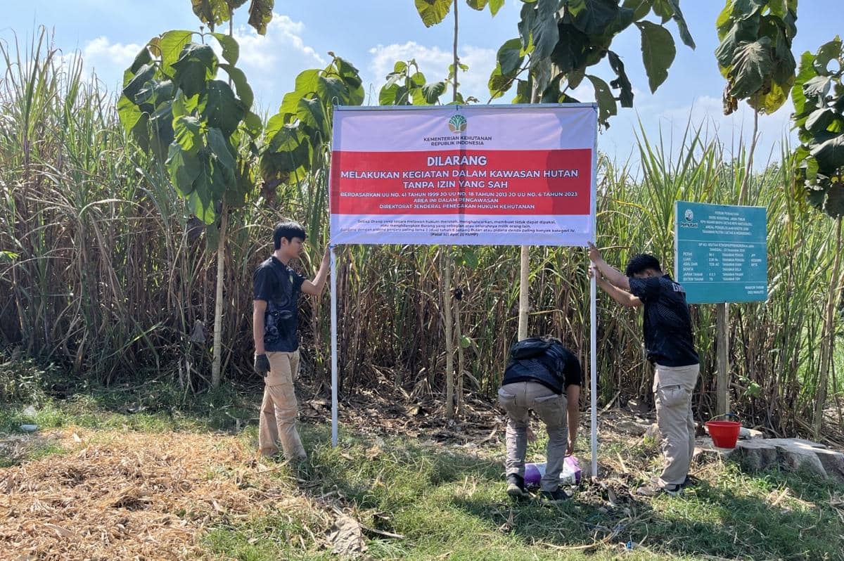 Kemenhut RI menetapkan 4 orang sebagai tersangka kasus pembukaan lahan ilegal di Kawasan Hutan Diklathut UGM di Kecamatan Pitu, Kabupaten Ngawi. IDN Times/Istimewa.