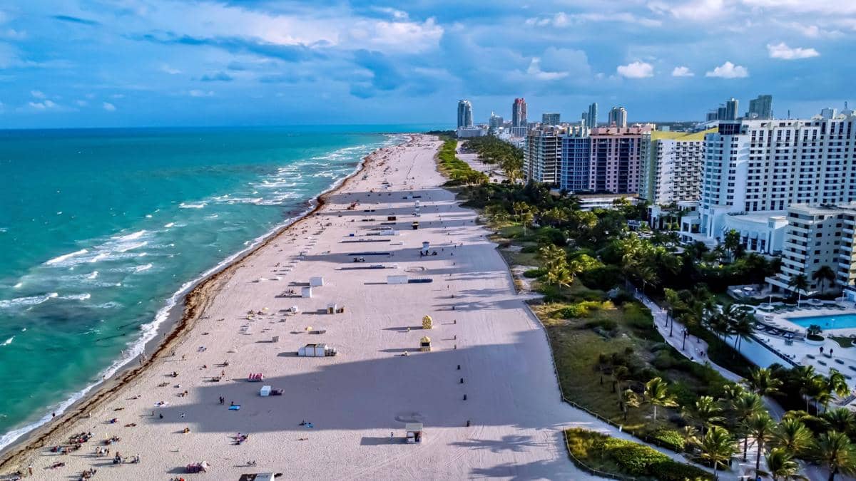 ilustrasi nuansa tropis Miami
