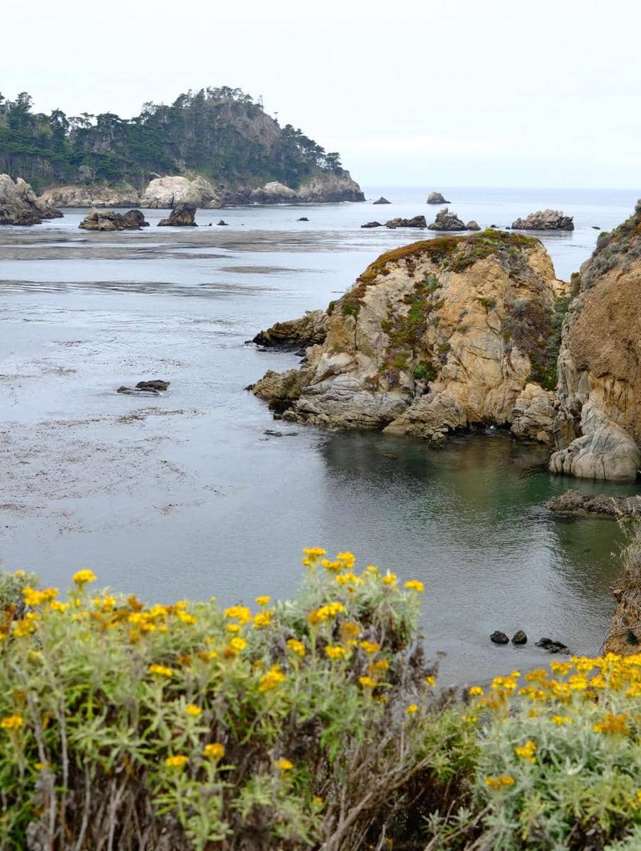 Natasha Wilona mengunjungi cagar alam Point Lobos