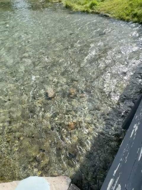 Tengku Firmansyah dan keluarga liburan di Kota Canmore