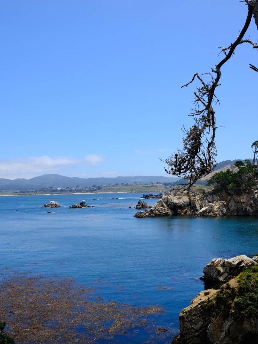 Natasha Wilona mengunjungi cagar alam Point Lobos