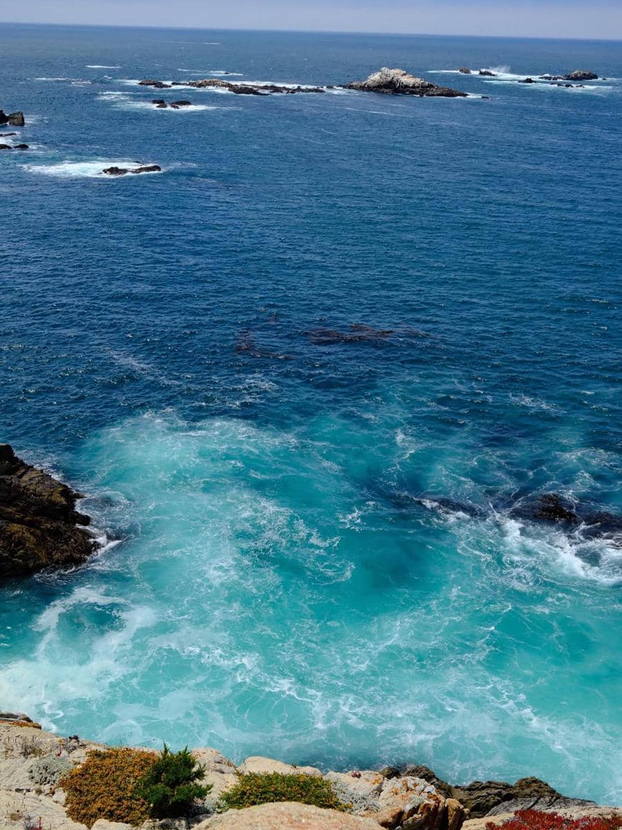 Natasha Wilona mengunjungi cagar alam Point Lobos