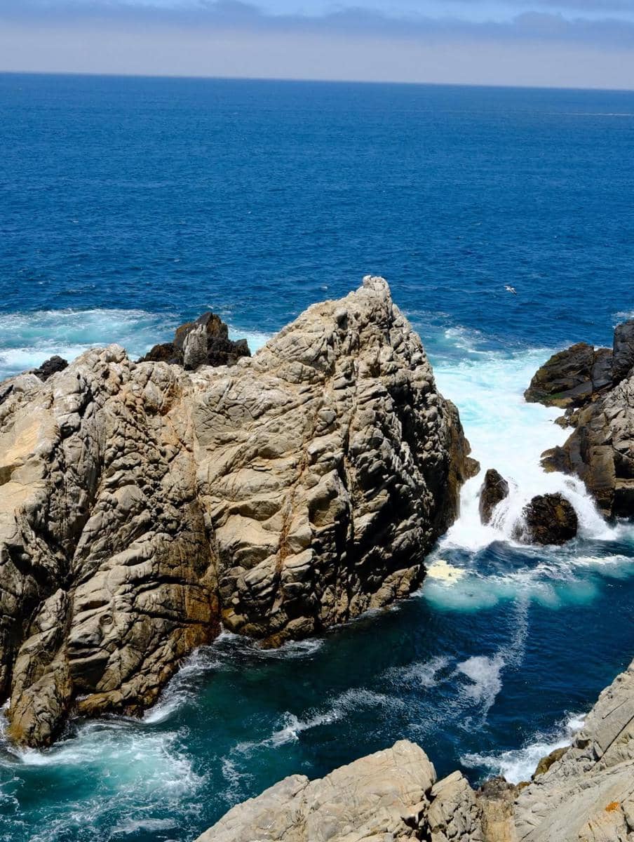 Natasha Wilona mengunjungi cagar alam Point Lobos