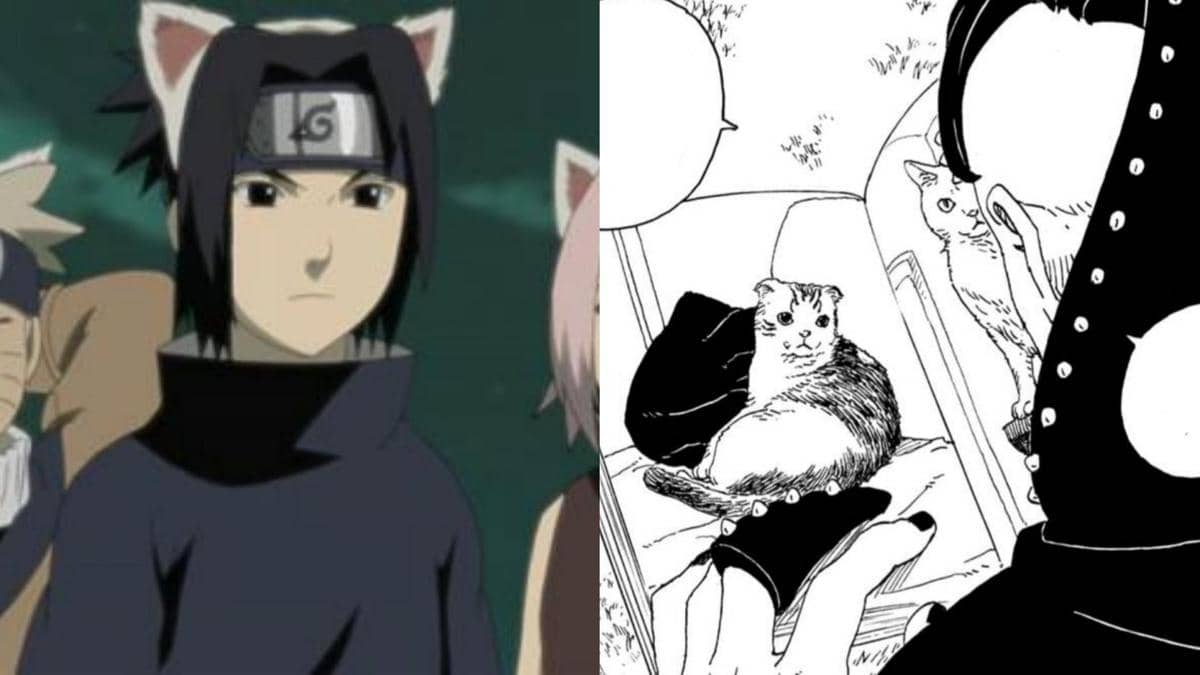 Seperti Sasuke, Hidari di Boruto: TBV Juga Suka Kucing! Ini Faktanya!