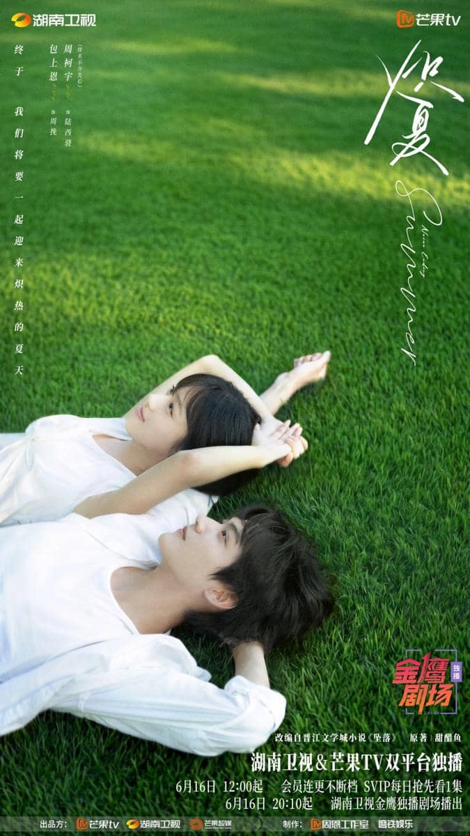Poster Never-Ending Summer