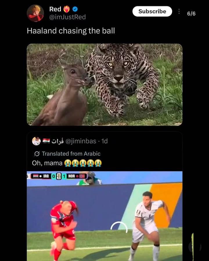meme Piala Dunia 2026