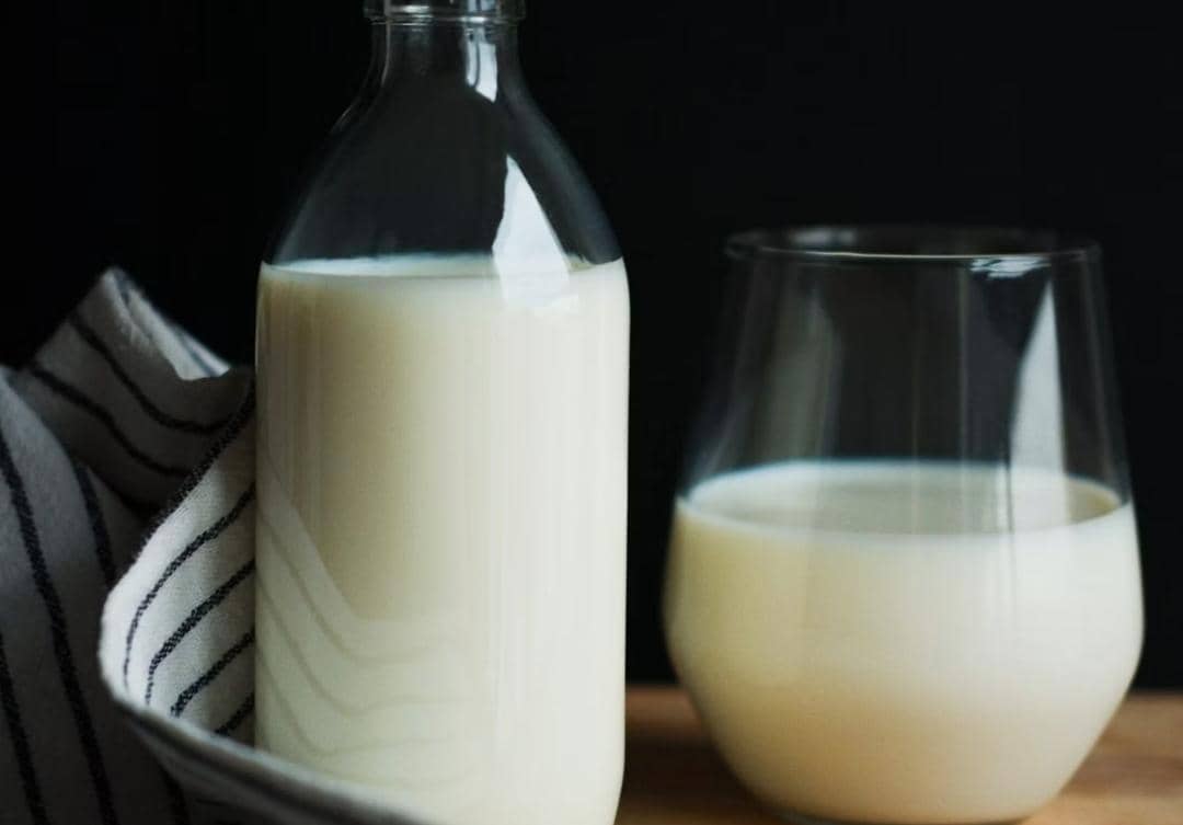 ilustrasi susu