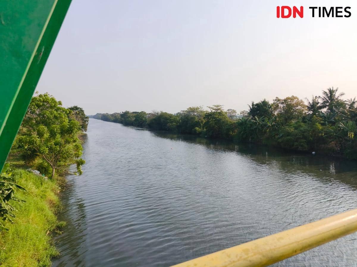 Petani mengeluh hasil pertanian membusuk akibat pencemaran sungai Ciujung (Dok. Khaerul Anwar)