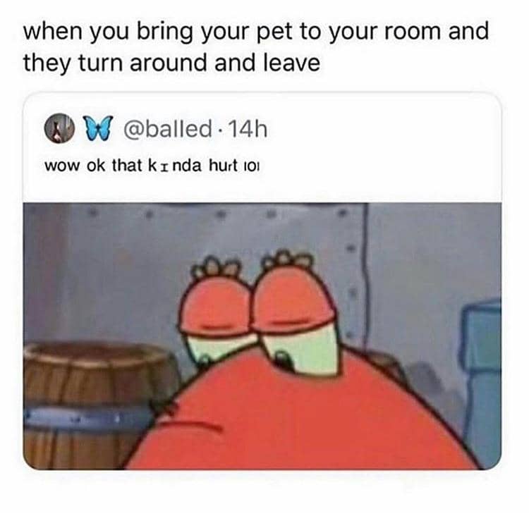 meme SpongeBob tentang pengkhianatan