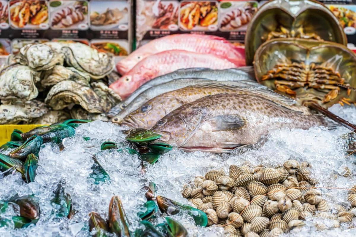 ilustrasi seafood