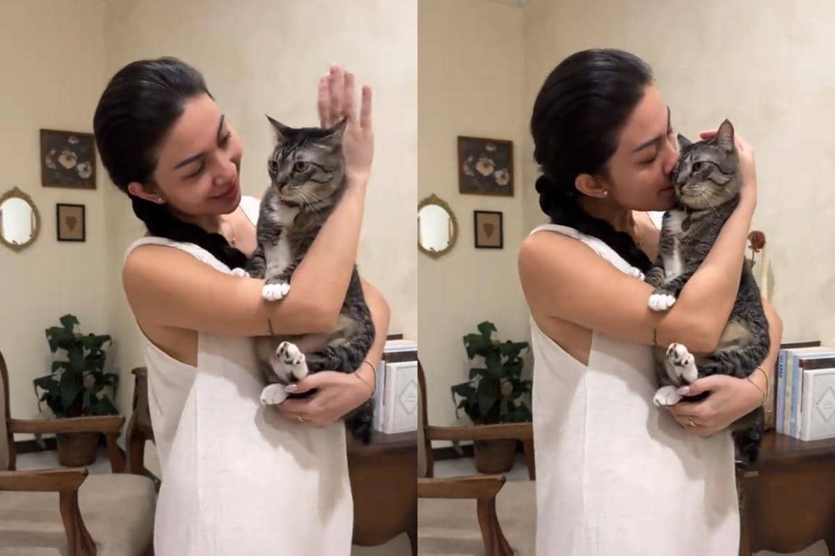 Ariel Tatum dan kucing-kucingnya