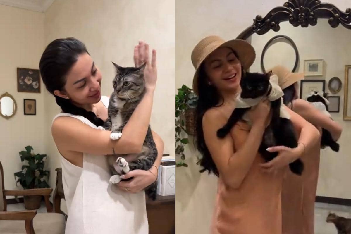 7 Potret Ariel Tatum dan Kucing-kucingnya, Super Gemas