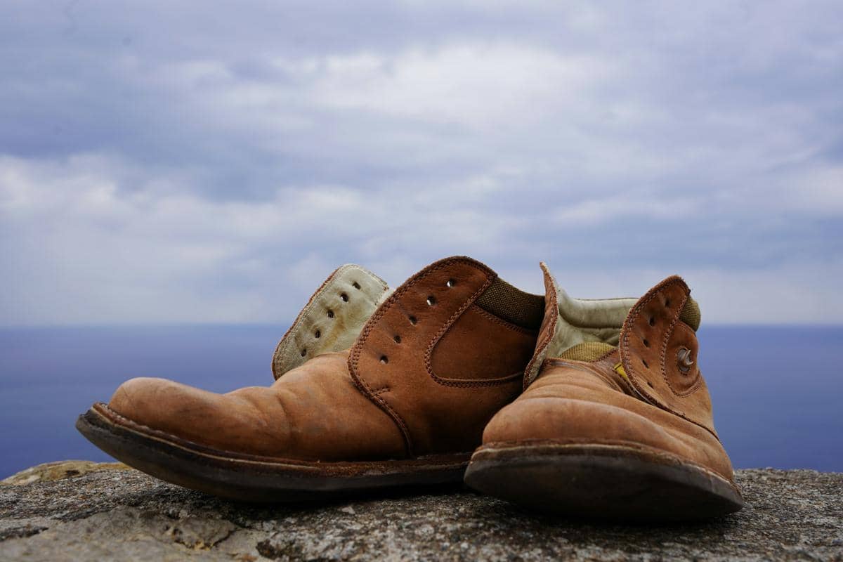 5 Ciri-Ciri Sepatu Berbahan Kulit Babi, Kenali agar Tidak Salah Pilih