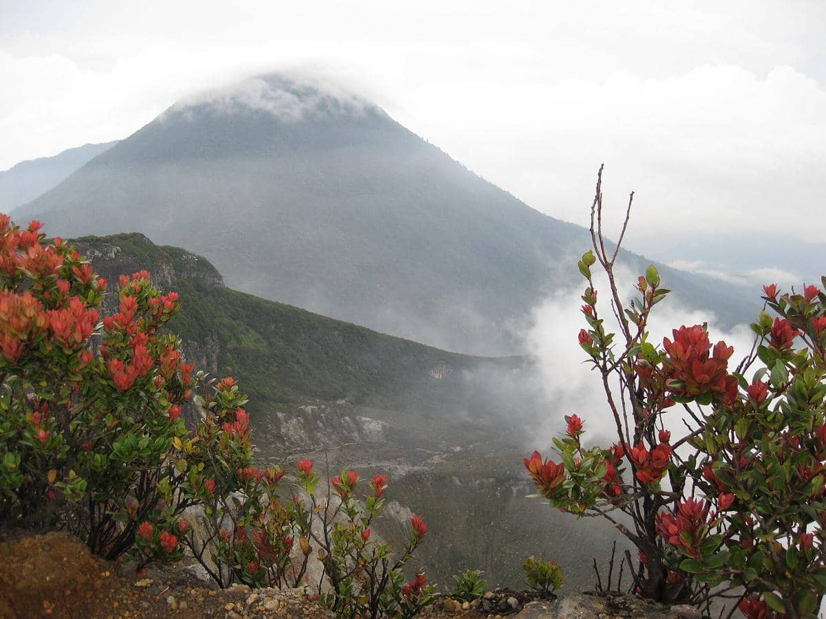 Pendakian Gunung Gede Pangrango akan Ditutup Sementara Juli 2026