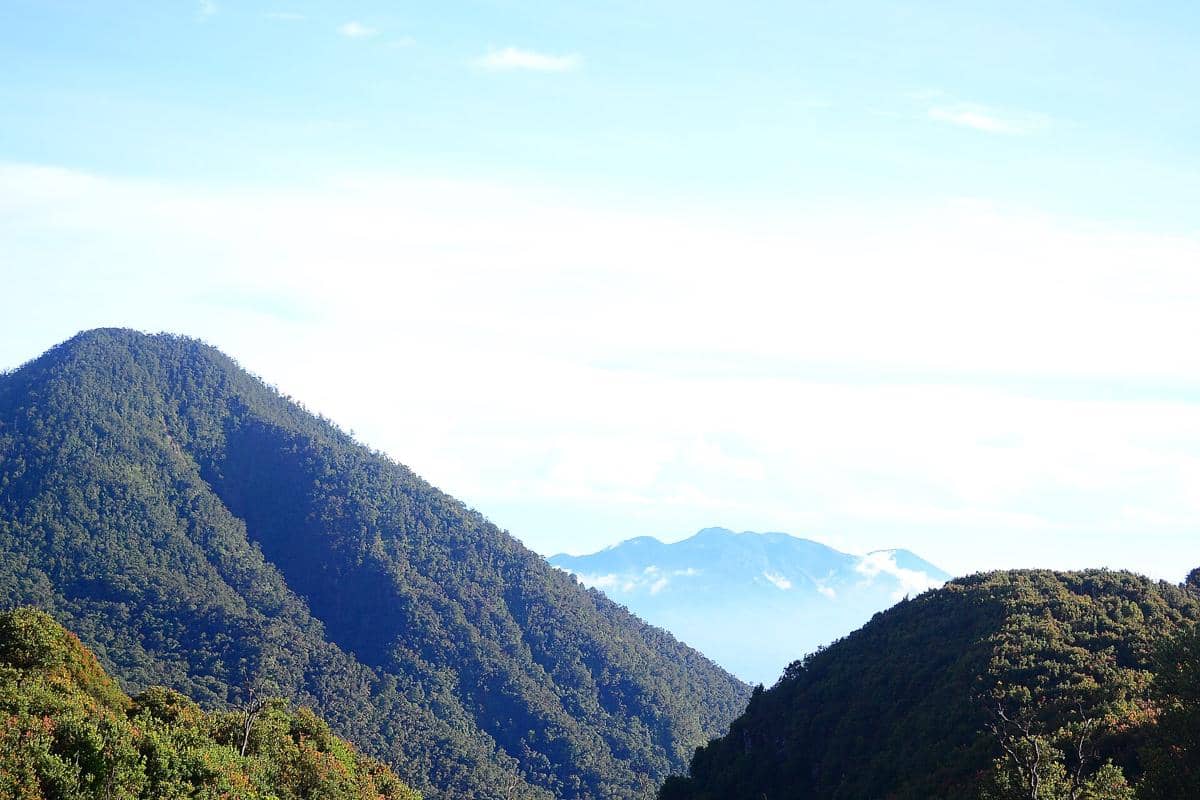 Potret Gunung Papandayan