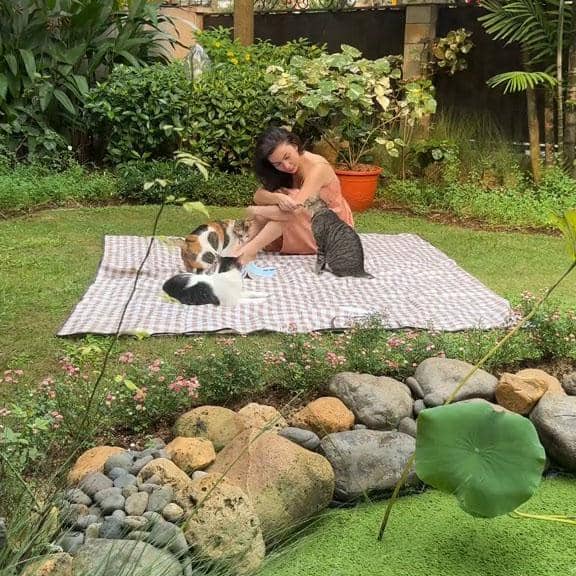 Ariel Tatum dan kucing-kucingnya