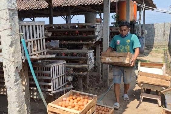 Kandang peternak di Desa Buluharjo, Kecamatan Plaosan, Magetan. IDN Times/Istimewa.