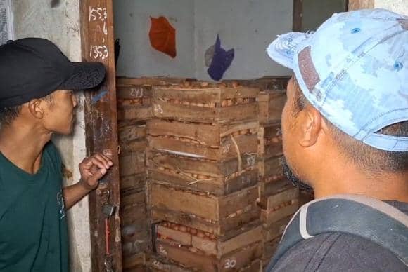 Kandang peternak di Desa Buluharjo, Kecamatan Plaosan, Magetan. IDN Times/Istimewa.
