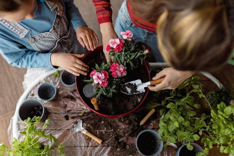 5 Tips Mudah Menanam Bunga Hias dari Biji untuk Pemula