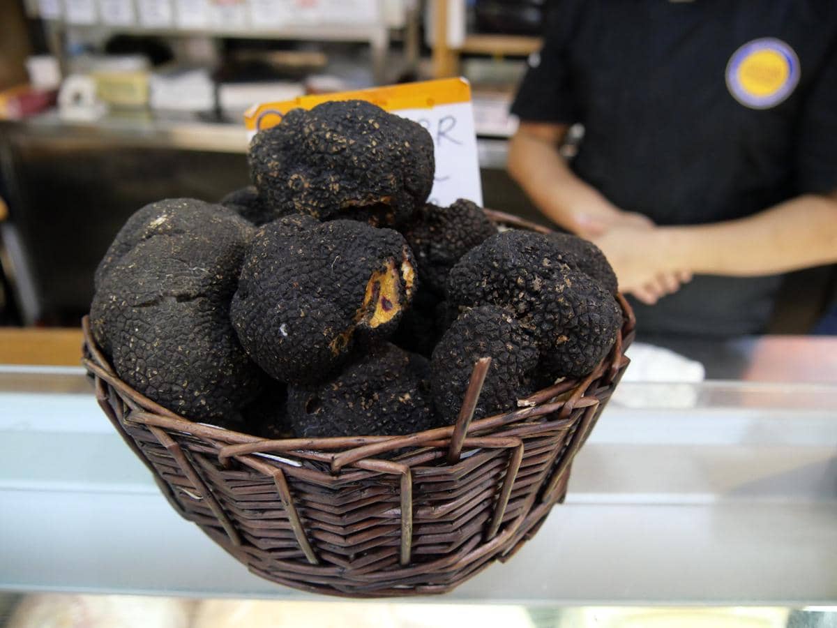ilustrasi truffle hitam Périgord, dikenal sebagai produk lokal dari Dordogne