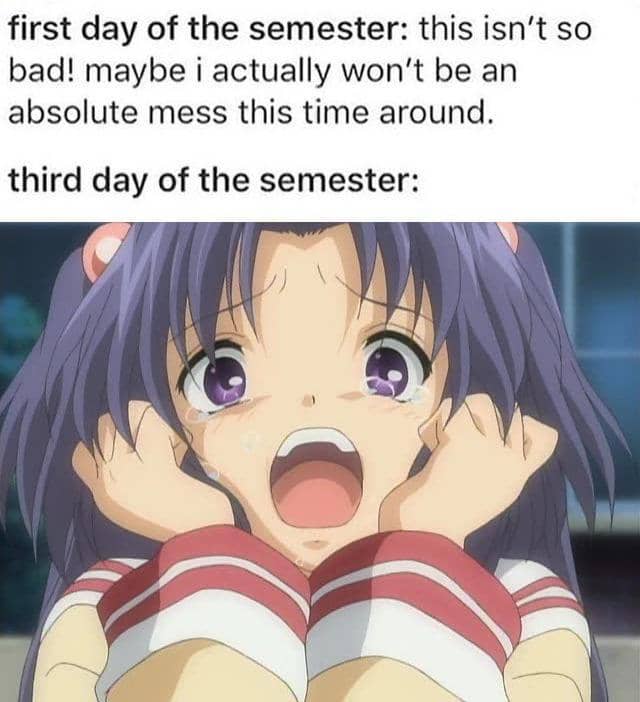 meme anime tentang semester